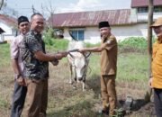 Efisiensi Anggaran Tak Halangi Pemkab Ketapang Berbagi Hewan Kurban