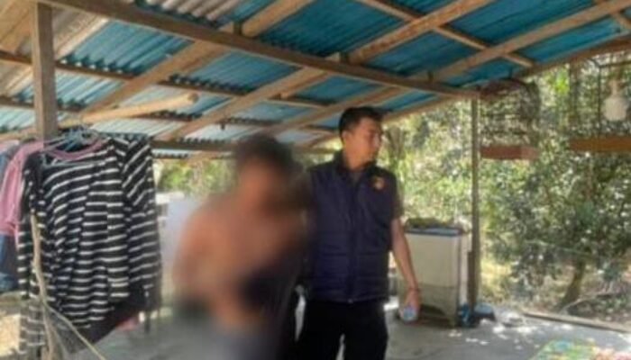 Polres Sekadau Tahan Pria 26 Tahun Terkait Dugaan Penyebaran Konten Pornografi