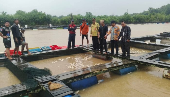 Jutaan Bangkai Ikan Penuhi Sungai Mempawah, Warga Resah Bau Busuk dan Ancaman Pencemaran