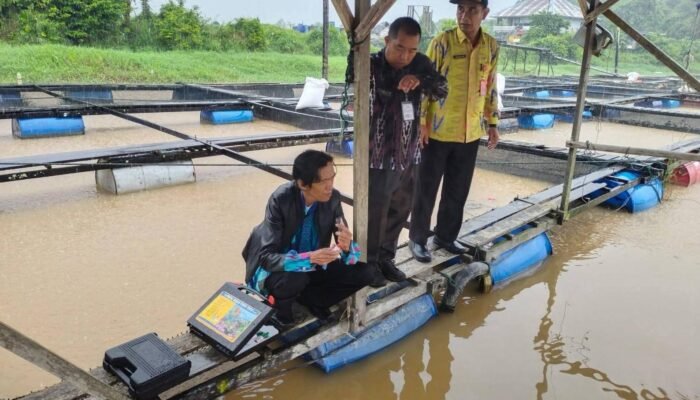 Jutaan Ikan Keramba di Sungai Mempawah Mati Mendadak, Pembudidaya Alami Kerugian Besar