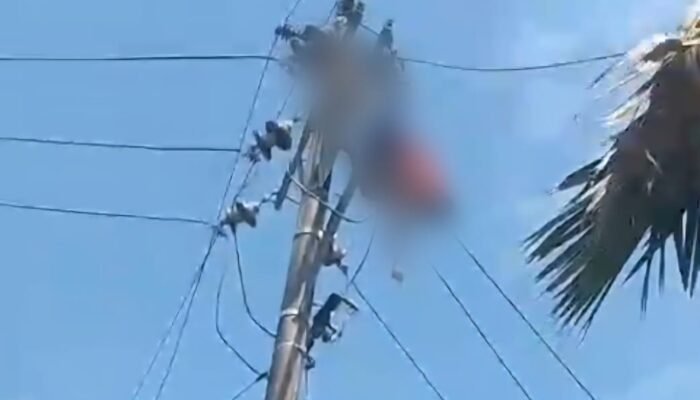 Pria Tersengat Listrik Saat Panjat Tiang di Pontianak, Sempat Bergelantungan Sebelum Dievakuasi