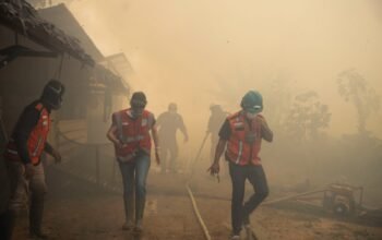 Karhutla Kepung Pusat Rehabilitasi Orangutan di Ketapang