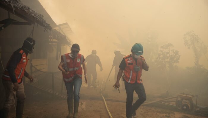 Karhutla Kepung Pusat Rehabilitasi Orangutan di Ketapang