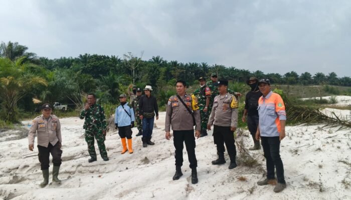 Aktivitas PETI pada Kawasan Perkebunan di Mandor Landak Ditertibkan Tim Gabungan TNI-Polri dan PT. GRS