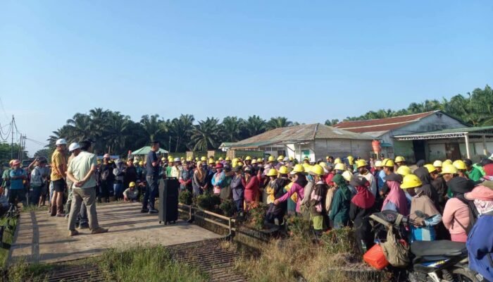 Ratusan Pekerja PT PANP dan PT SAM Mogok, Desak Pengakuan Masa Kerja hingga Pengangkatan Karyawan Tetap