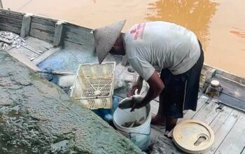 Solar Bersubsidi Langka, Nelayan Jawai Terpaksa Berhenti Melaut