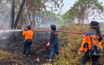 Sintang Tetapkan Tanggap Darurat Karhutla, 274 Hektare Lahan Terbakar