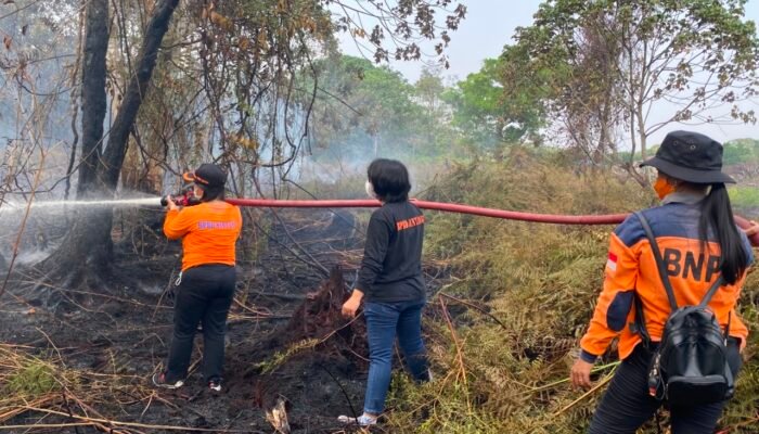 Sintang Tetapkan Tanggap Darurat Karhutla, 274 Hektare Lahan Terbakar