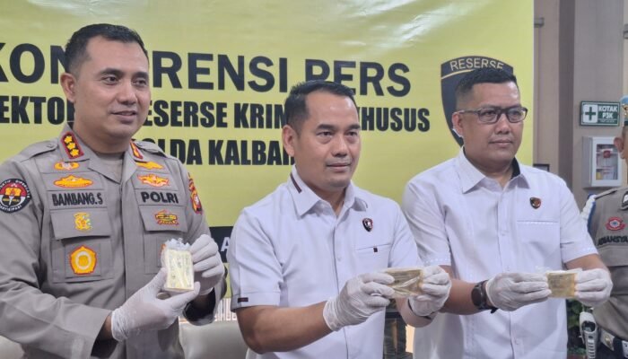 Oknum Anggota DPRD Sintang Ditangkap Bawa Emas Diduga Hasil Tambang Ilegal Senilai Rp 6,2 Miliar