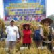 Bupati Karolin Dorong Petani Landak Jadi Penangkar Benih Padi Mandiri
