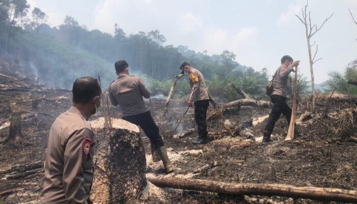 Polsek Ngabang Cek Lokasi Karhutla di Jelimpo, Pastikan Api Telah Padam