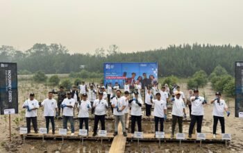 14 Ribu Mangrove Ditanam di Sungai Kupah Kubu Raya, Jadi Benteng Pesisir dan Dukung Ekowisata