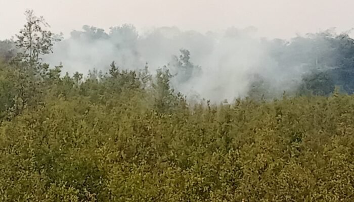 Karhutla Kembali Muncul di Sekitar Bandara Nanga Pinoh