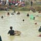 Serunya Lomba “Nyamah” Ikan, Tradisi Tangkap Ikan Khas Dayak Kanayatn Meriahkan HUT Ke-81 RI di Pal 20 Landak