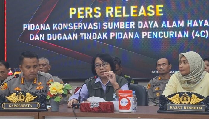 Kepala BKSDA Kalbar: Kuku Hingga Sisik Trenggiling Tak Punya Khasiat Medis, Itu Cuma Mitos