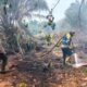 Hotspot Kalbar Capai 7.377 Titik, Norsan Perkuat Pemadaman Darat dan Udara
