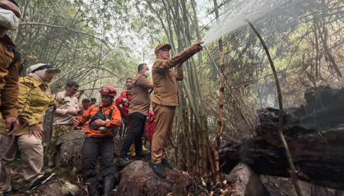 Gubernur Norsan Ikut Padamkan Karhutla di Bukit Peramas, Medan Terjal Jadi Tantangan