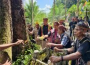 Bupati Ketapang Hadiri Ritual Menjangkap Buah, Dorong Pelestarian Budaya di Tengah Pembangunan