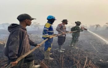 Sinergi TNI-Polri, Masyarakat dan Perusahaan Diperkuat, KPH Kayong Utara Percepat Penanganan Karhutla