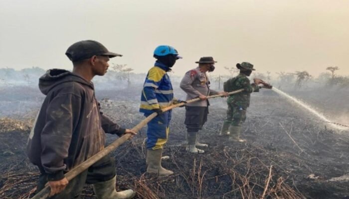 Sinergi TNI-Polri, Masyarakat dan Perusahaan Diperkuat, KPH Kayong Utara Percepat Penanganan Karhutla