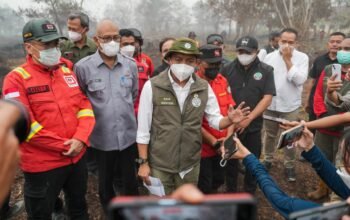 Izin 5 Korporasi di Kalbar Dibekukan terkait Karhutla, Salah Satunya PT Mayawana Persada