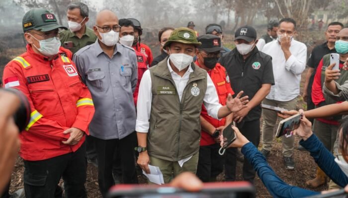 Izin 5 Korporasi di Kalbar Dibekukan terkait Karhutla, Salah Satunya PT Mayawana Persada