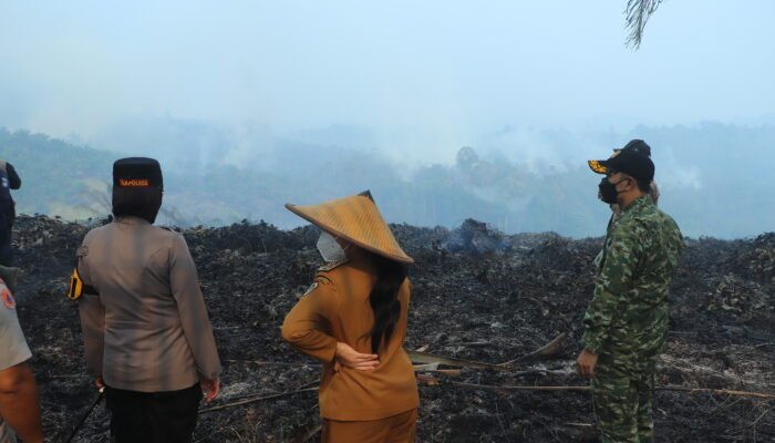 Bupati Karolin Turun ke Lokasi Karhutla di Dusun Pampang, Api Diperkirakan Melahap 50 Hektar Lahan