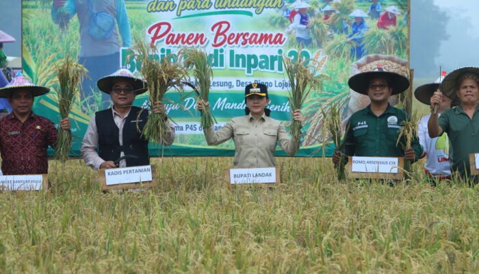 Panen Perdana Padi Benih di Ringo Lojok, Bupati Landak Dorong Petani Gunakan Benih Unggul dan Mandiri Benih