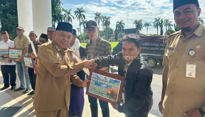 Pemkab Mempawah Salurkan 12 Sapi Kurban, Jumlah Turun karena Anggaran