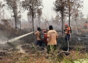 Penggunaan Dana Karhutla Dipantau Tiap Pekan, Pemprov Kalbar Pastikan Transparan