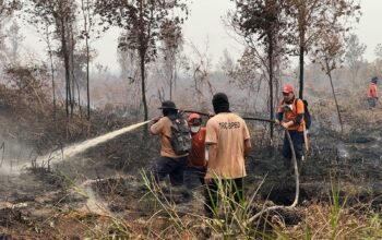Penggunaan Dana Karhutla Dipantau Tiap Pekan, Pemprov Kalbar Pastikan Transparan