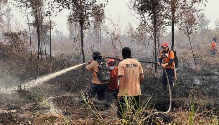 Penggunaan Dana Karhutla Dipantau Tiap Pekan, Pemprov Kalbar Pastikan Transparan