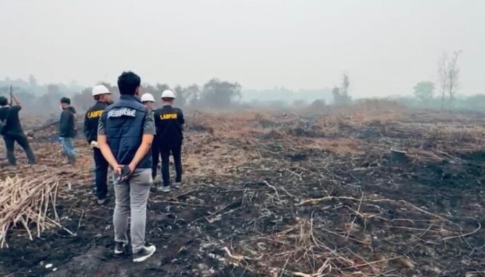 Pemprov Kalbar Telusuri Dugaan Keterlibatan Perusahaan dalam Karhutla